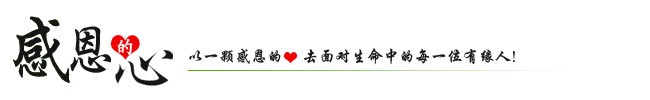 耐震全不锈钢压力表 耐震全不锈钢压力表